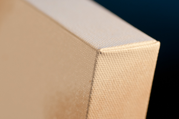 canvas-3